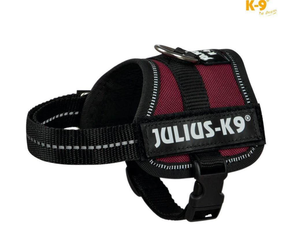 Julius k9 best sale power harness australia