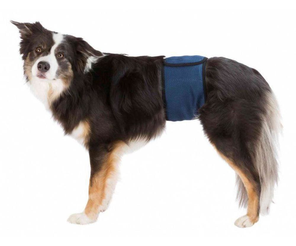 Dog stomach clearance belt