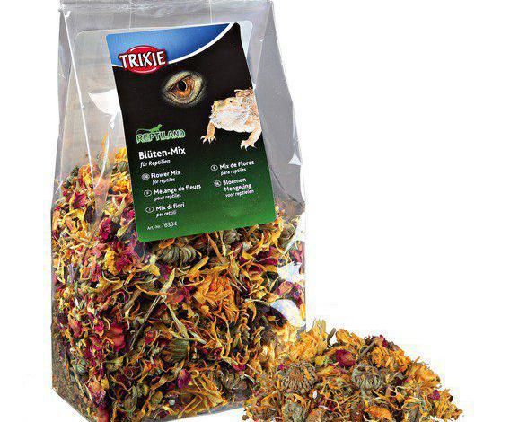 genade Let op Perth Blackborough Mix Of Dried Flowers For Reptiles 75g Trixie Food And Support Terrarium –  Brunbo