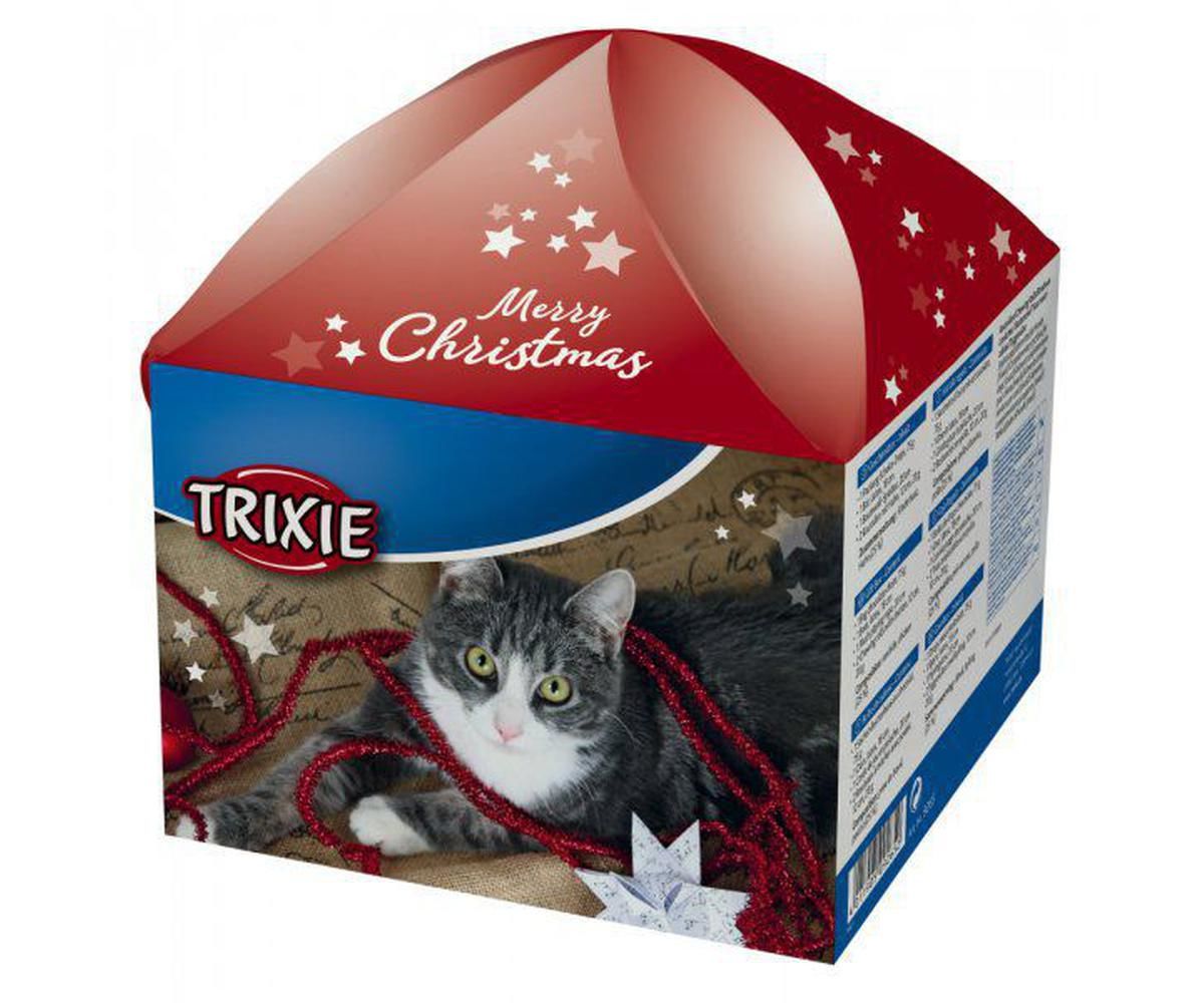 christmas box for cats