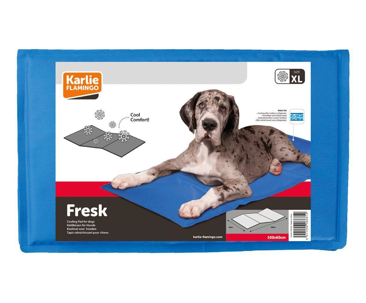 Verward Raap bladeren op consumptie Karlie cooling pad XL 60x100cm Karlie cooling pads Dogs – Brunbo