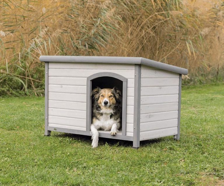 Natura Doghouse With A Flat Roof M-l 104 x 72 x 68cm Gray Sheds Tents ...