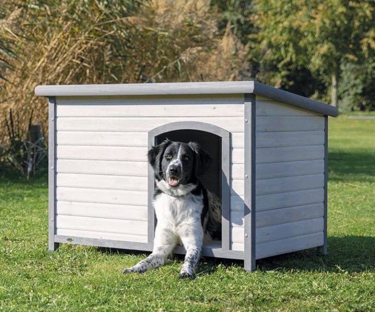Natura Doghouse With A Flat Roof L 116 x 82 x 79cm Gray Sheds Tents